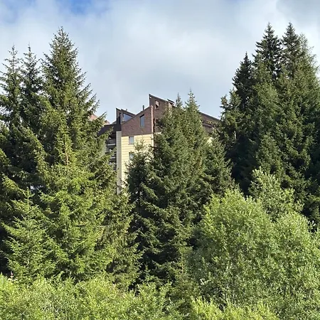 3,5 A Con Terrazzo, Piscina, Sauna E Parcheggio In Autorimessa! *